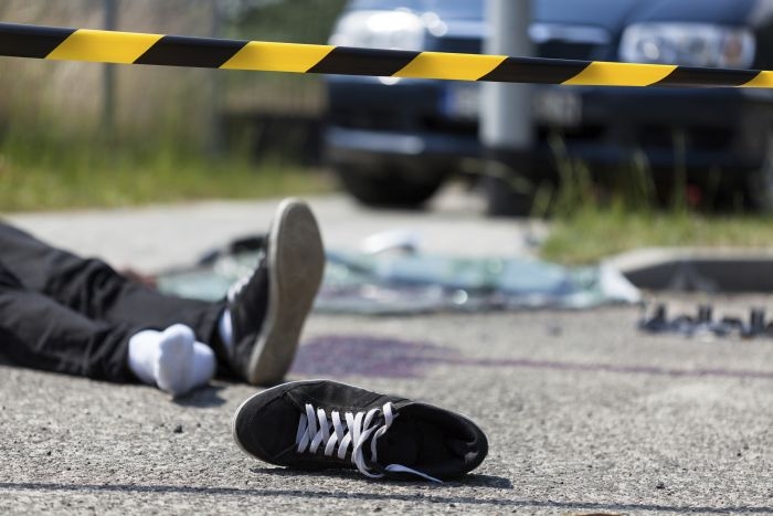  11 children, driver killed in China road accident 