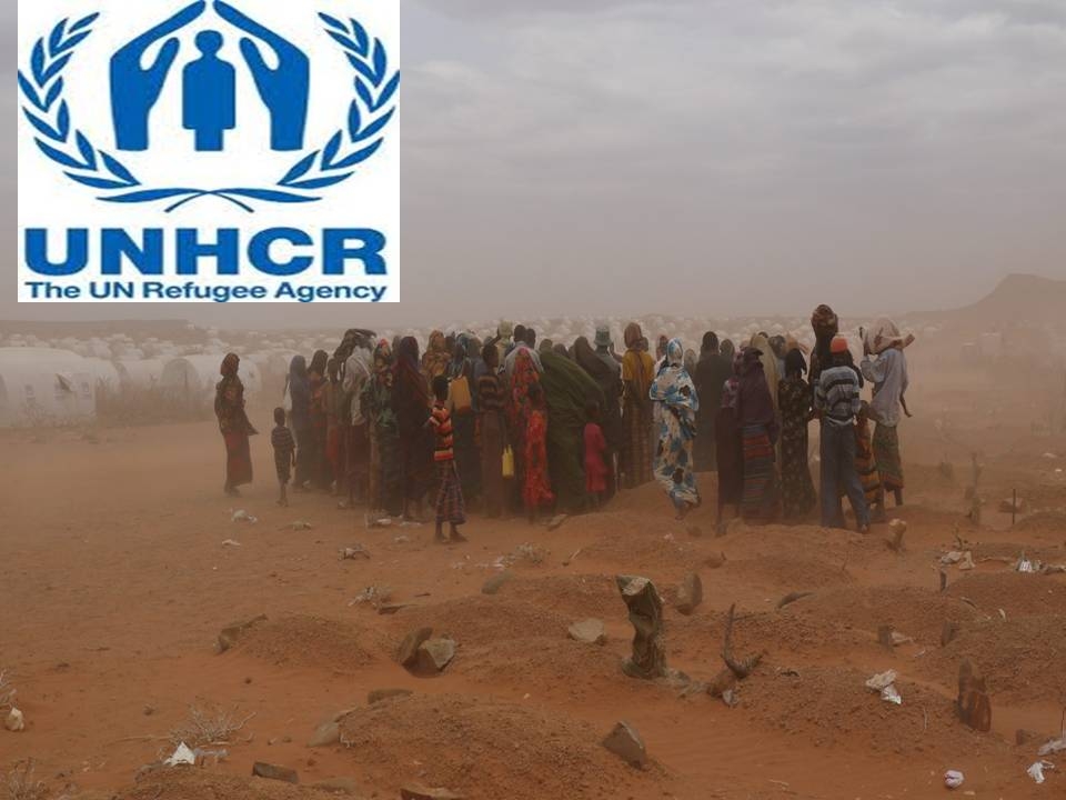  Civilians fleeing Mosul in  grave danger : UN 