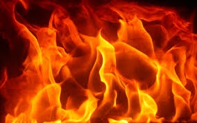  Seven injured as gas cylinder explodes in Delhi 
