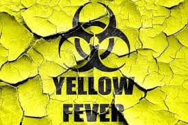  Brazil confirms 259 deaths from yellow fever in 2017 