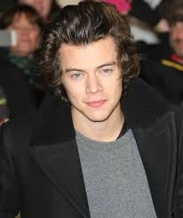  Harry Styles never felt need to label his sexuality 