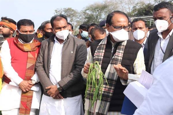 Do Not Bring Tears to Your Eyes, the Government Will Compensate for the Loss Due to Hailstorm: Chief Minister Chouhan