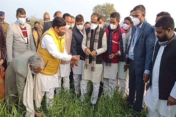 Will Get Affected Farmers Out of Trouble: Chief Minister Chouhan