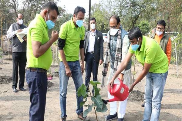 Chief Minister Chouhan Planted Peepal and Karanj Saplings in Smart City Garden