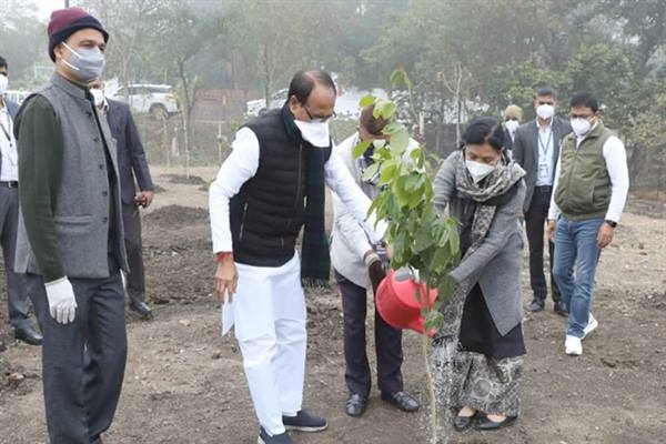 Chief Minister Chouhan Planted Almond and Karanj Saplings in Smart Park