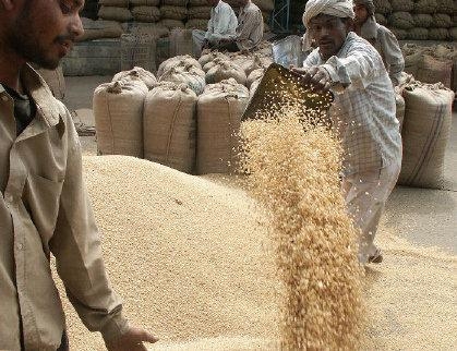 Now Wheat procurement on MSP upto May 20 in Indore-Ujjain division Food department extends deadline