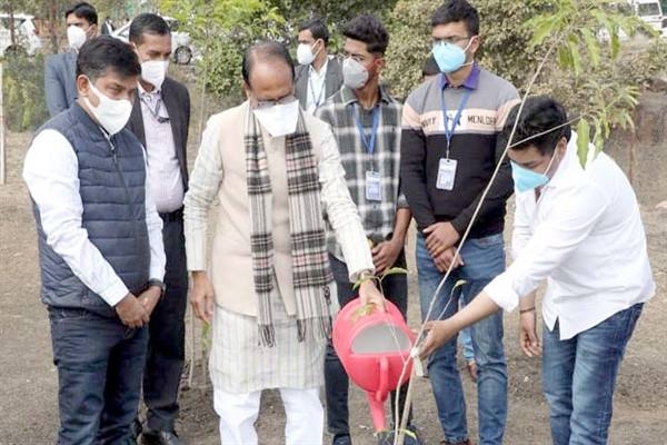 Chief Minister Chouhan Planted Saplings of Moulshree and Bija in Smart Garden