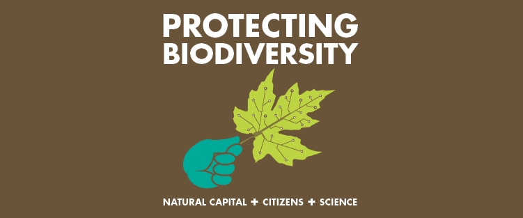 Protection of bio-diversity must for saving Earth