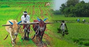 Farmers who benefited from PM’s crop insurance scheme tell their story