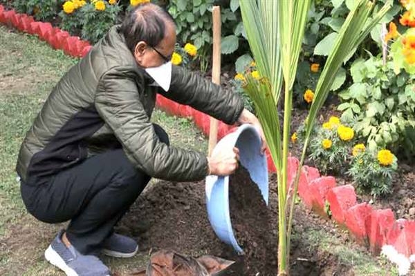 Chief Minister Chouhan Planted Coconut Sapling in Residence Premises