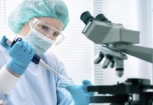  Scientists develop  super oyster  resistant to deadly virus 