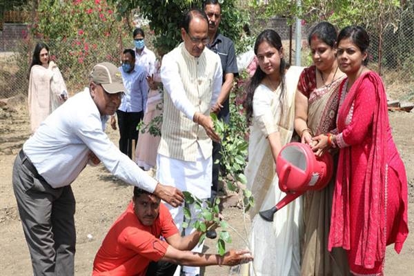 CM Chouhan Planted Neem and Karanj Saplings