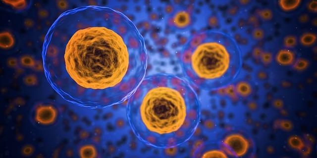  US researchers identify new way to slow down cancer development 
