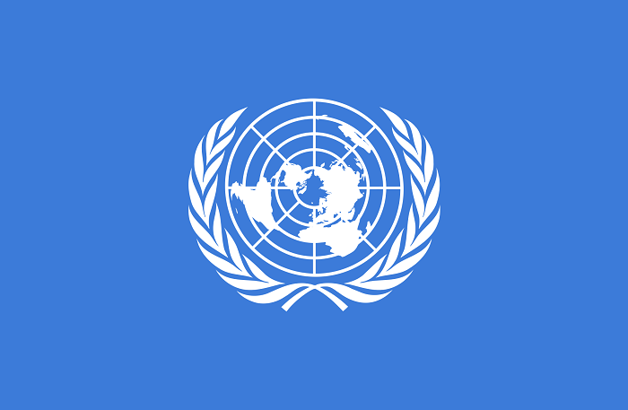  UNGA President-elect to push Security Council reform 