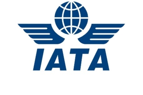  Passenger traffic grows, India at second spot: IATA (Lead) 