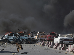  Haqqani network blamed for bombing has moved to Afghanistan, claims envoy 