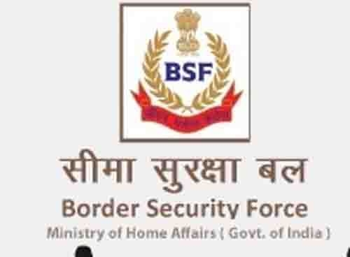  BSF seizes foreign currency, medicine from Bangladeshi woman 