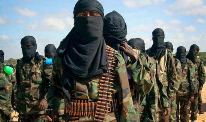  Hizbul Mujahideen module busted in Kashmir, two militants arrested 