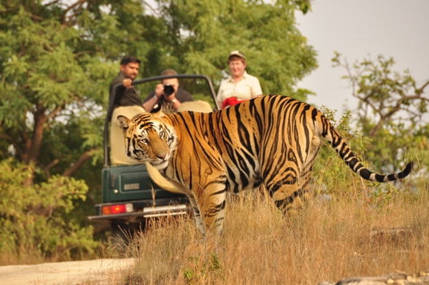  Jim Corbett national park to close for monsoon 