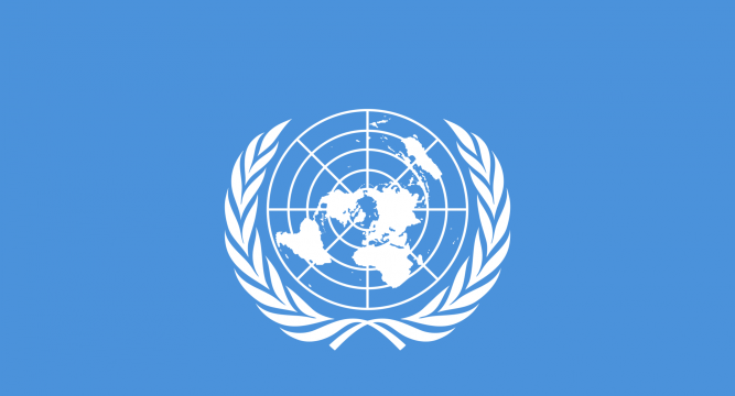  India re-elected to UN Economic, Social Council 