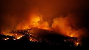 24 killed in Portugal fire 