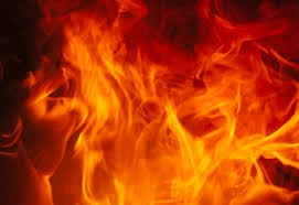  Mother, son die in fire in Madhya Pradesh 