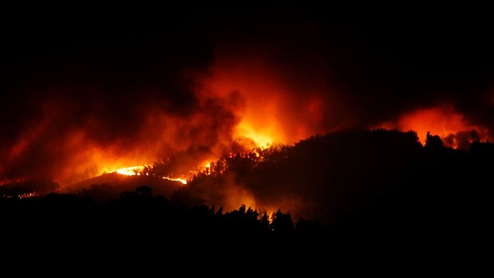  Portugal firefighters evacuate more towns as forest blaze spreads 