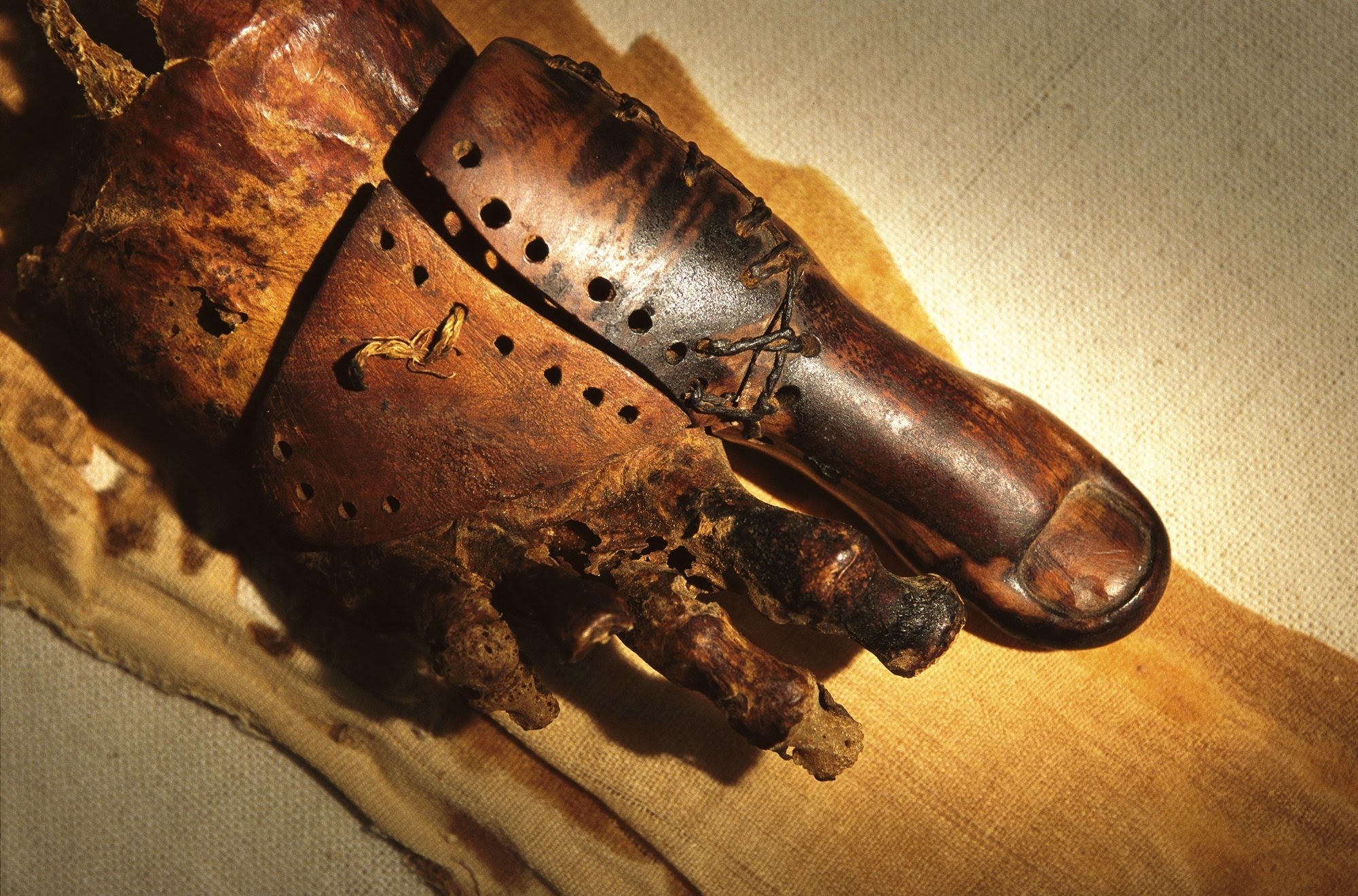  Egyptian artisan created prosthetic wooden toe 3,000 years ago 