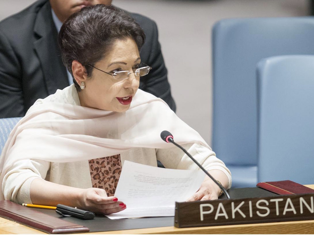   Taliban’s safe havens inside, not outside Afghanistan: Pakistan 