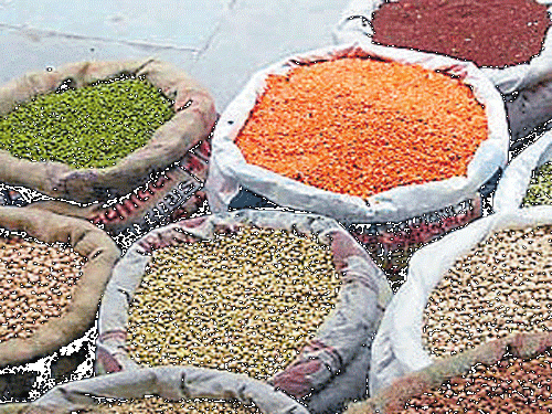 Purchase of Moong, Urad and Tuar on support price continues in state