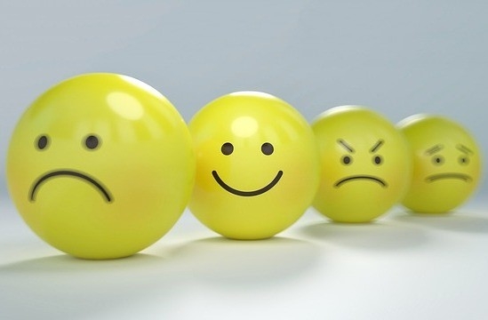 Happiness : feeling of inner joy and satisfaction.