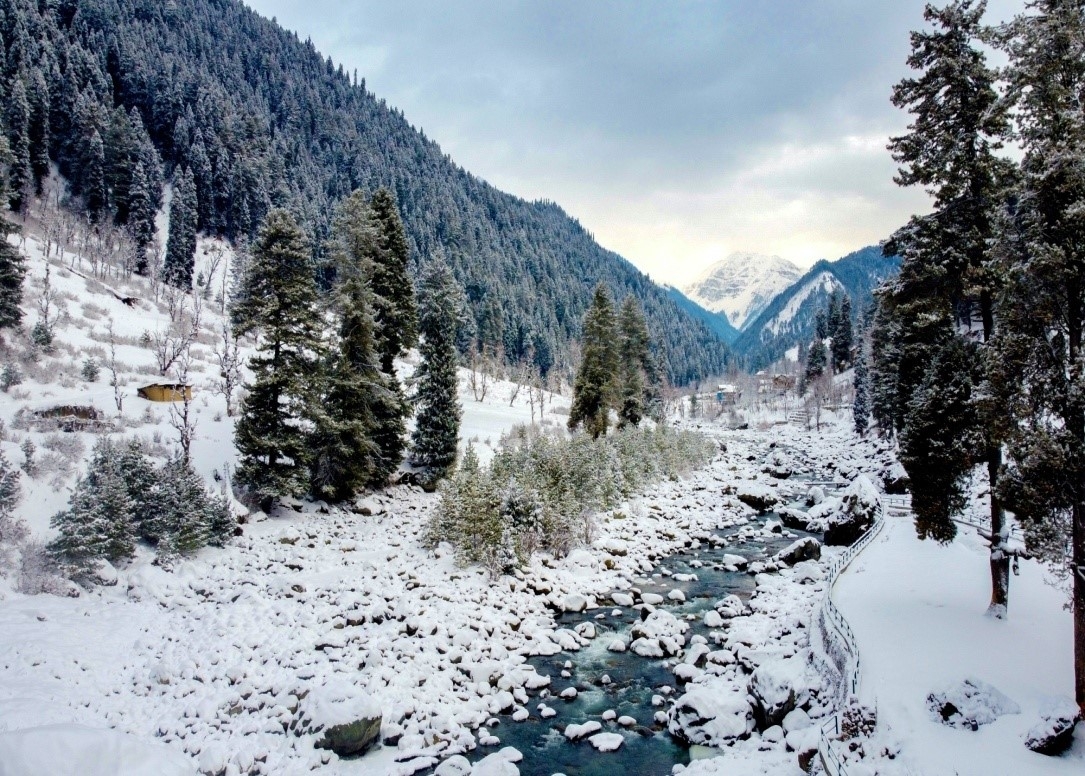 Kashmir's winter: A Majestic Journey into the Snow Covered Paradise