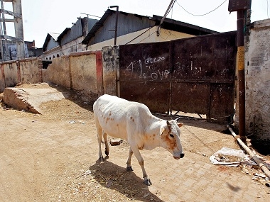  UP jails are overcrowded, no place for cows 