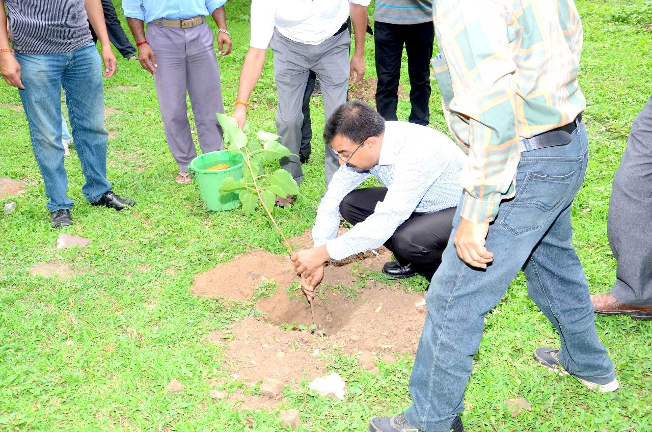 Plantation Undertaken at Jansampark Campus
