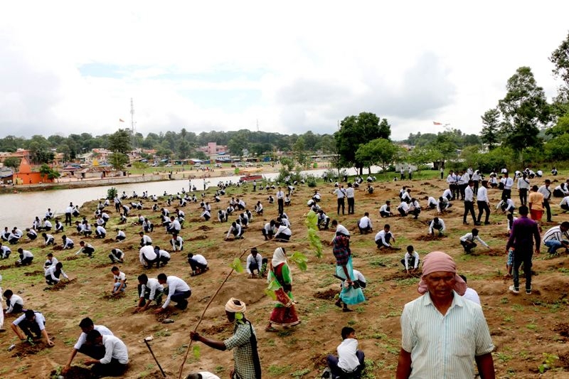 Massive campaign of tree plantation