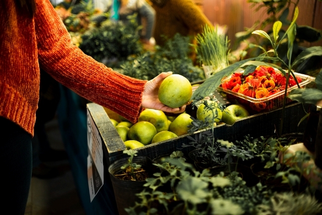 Food Security in the Face of Climate Change - Challenges and Solutions.