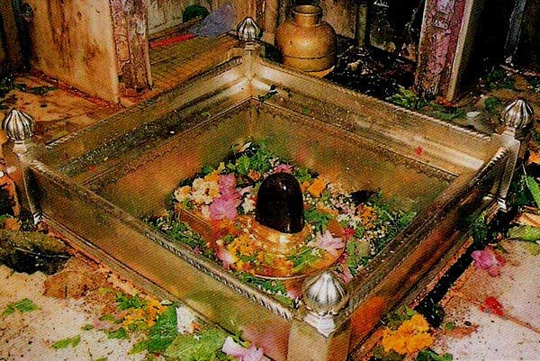  Kashi Vishwanath temple hikes rates for Saawan month rituals 