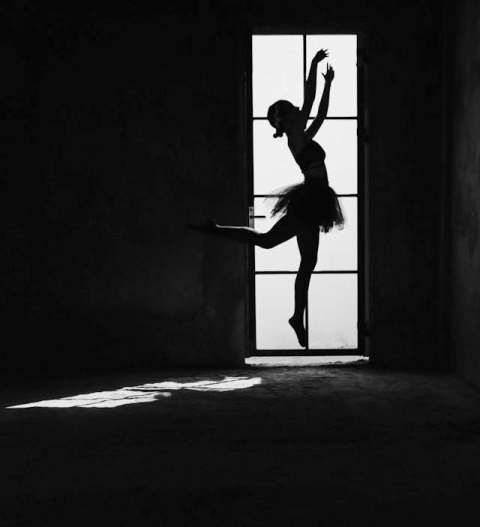 When Passion Becomes Profession - The Journey Beyond Dreams.