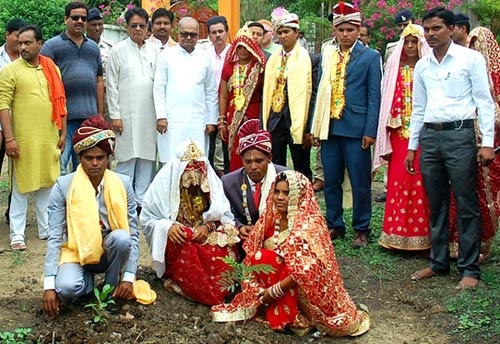 Massive Tree Plantation Campaign of July 2