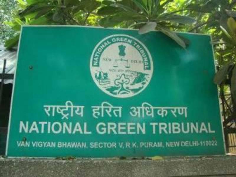  Need more qualified people in state green boards: NGT chairman 