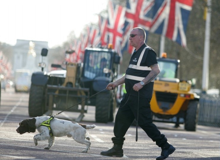  Britain s jails recruit 300 dogs to tackle drug smuggling 