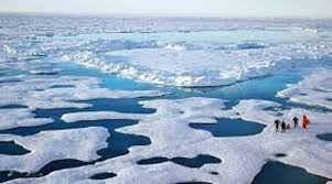  Chinese experts warn of sharp reduction in Arctic sea ice 