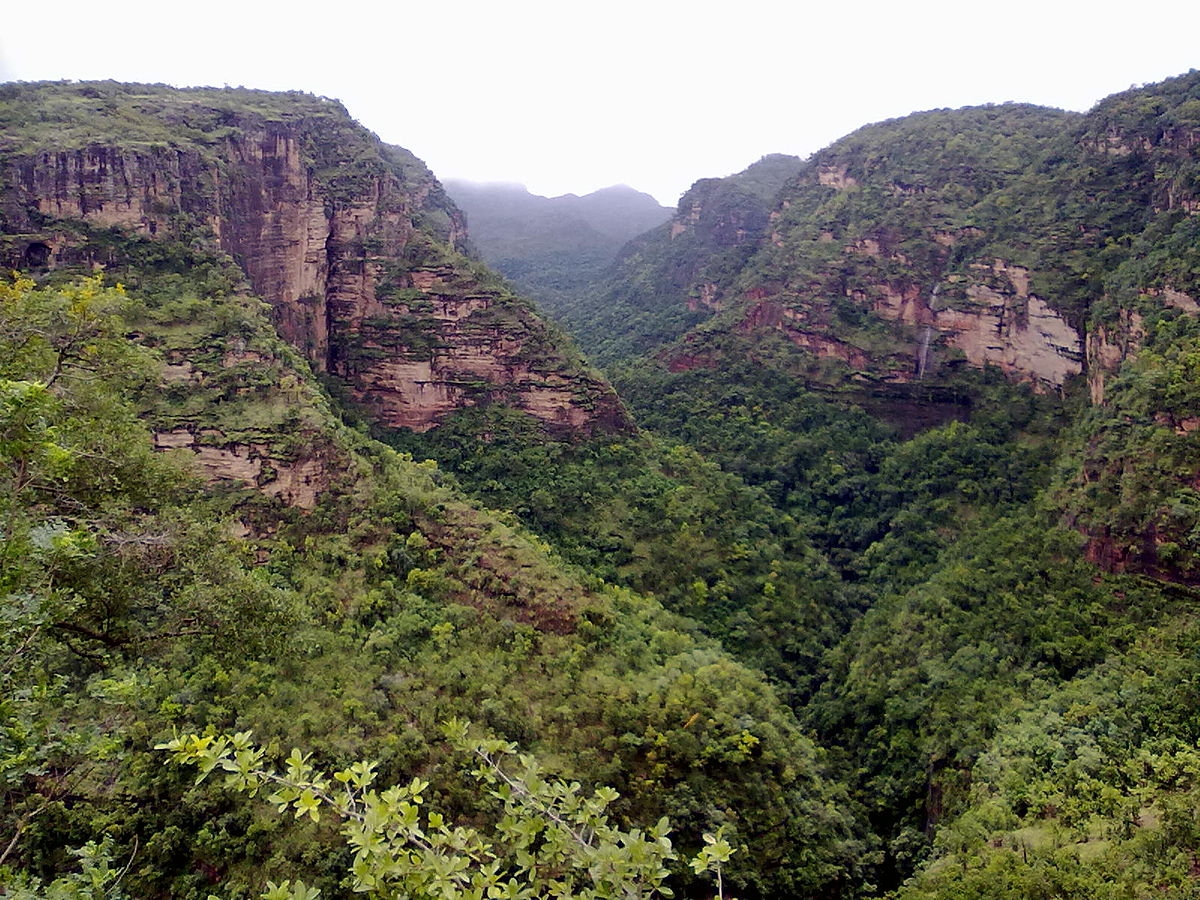 11 Villages Out From Pachmarhi Sancturay Area: Enclosure of Remaining 28 Villages