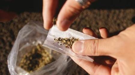  104 kg marijuana seized in Delhi, one held 