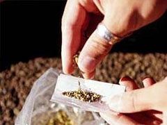  314 kg ganja seized in Bengal, 2 arrested 