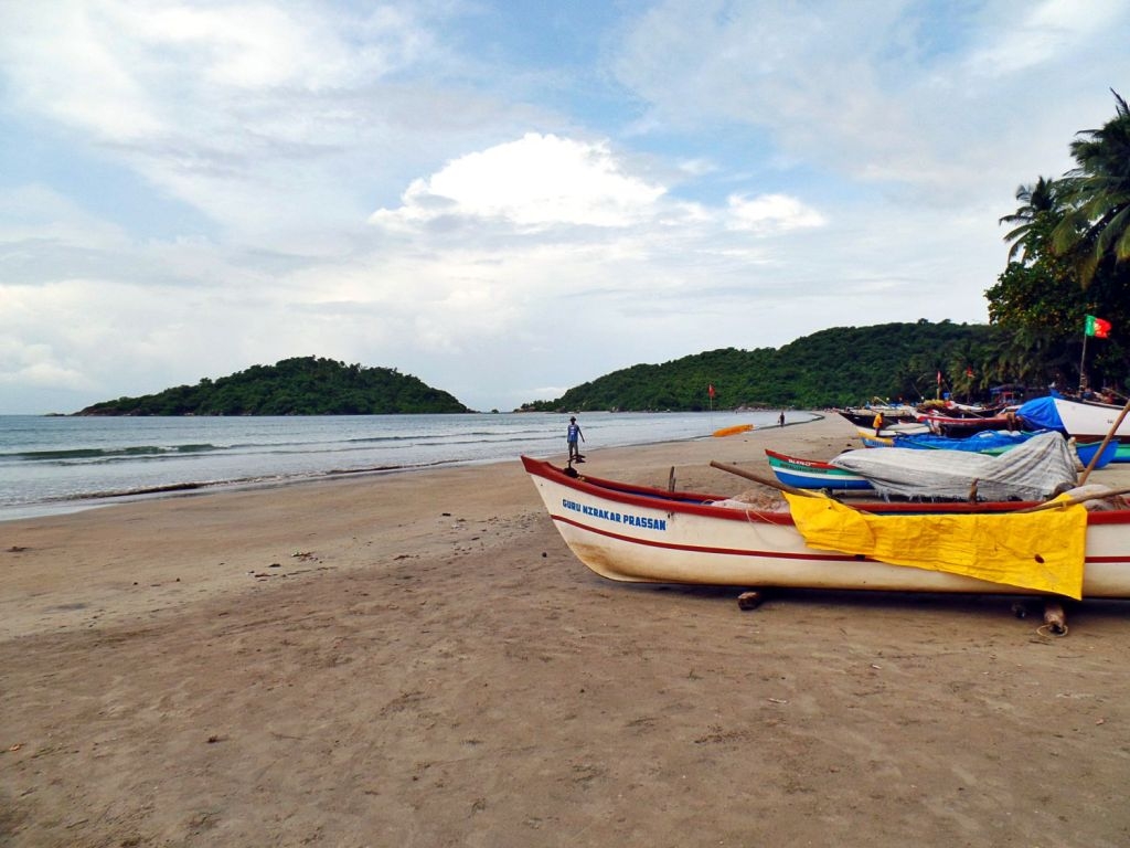  Tourists in Goa warned of toxic  bluebottles  near beaches 
