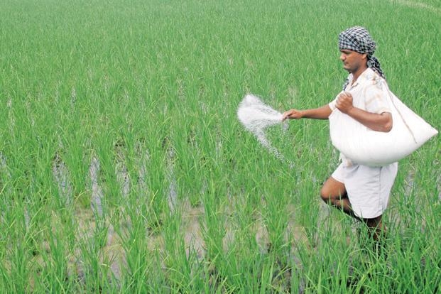 Prices of Chemical Fertilisers Declines after GST Implementation in State