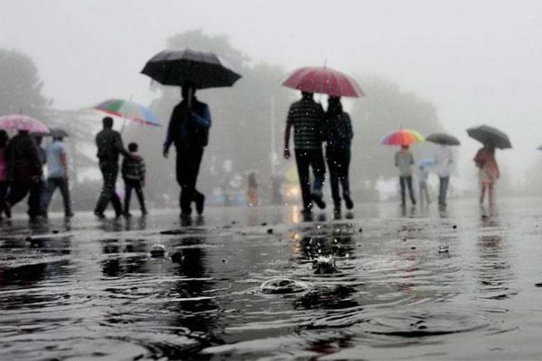 More than 20 Percent Average Rainfalls in 8 Districts of Madhya Pradesh