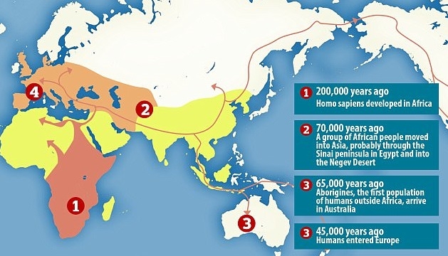  Humans reached Australia 65,000 years ago: Study 
