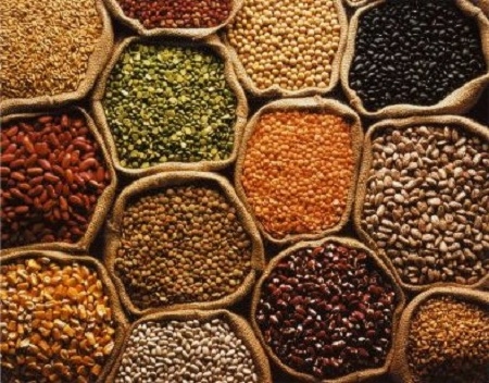 Three Lakh M.T. Pulses Crops Purchased on MSP from 1.53 Lakh Farmers